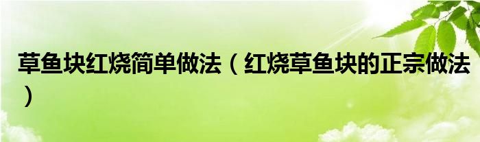 草鱼块红烧简单做法（红烧草鱼块的正宗做法）