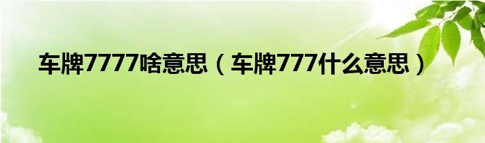 车牌7777啥意思（车牌777什么意思）