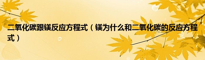 二氧化碳跟镁反应方程式（镁为什么和二氧化碳的反应方程式）