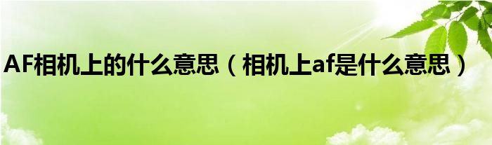 AF相机上的什么意思（相机上af是什么意思）