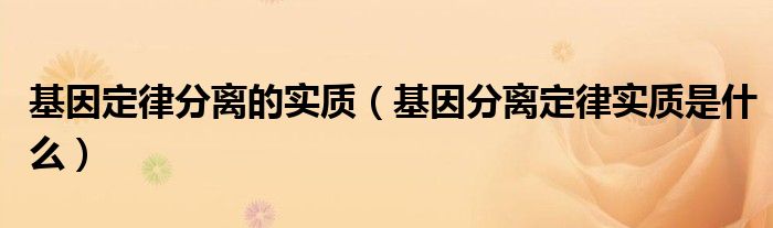 基因定律分离的实质（基因分离定律实质是什么）