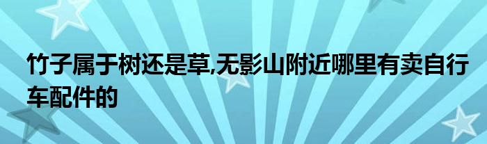 竹子属于树还是草,无影山附近哪里有卖自行车配件的