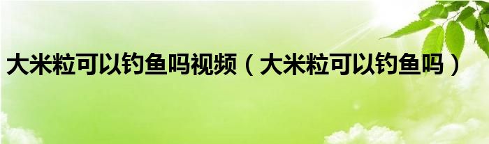 大米粒可以钓鱼吗视频（大米粒可以钓鱼吗）