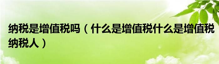 纳税是增值税吗（什么是增值税什么是增值税纳税人）