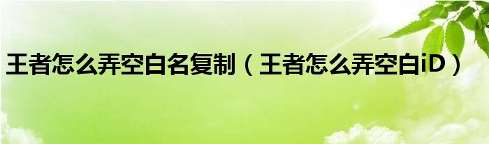 王者怎么弄空白名复制（王者怎么弄空白iD）