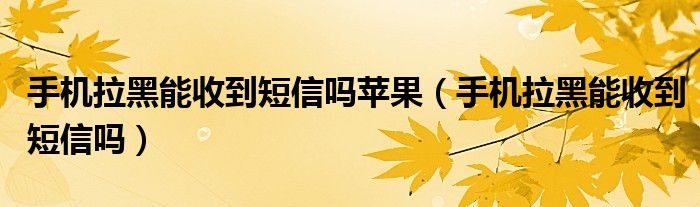 手机拉黑能收到短信吗苹果（手机拉黑能收到短信吗）