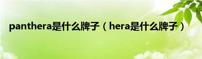 panthera是什么牌子（hera是什么牌子）