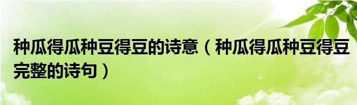 种瓜得瓜种豆得豆的诗意（种瓜得瓜种豆得豆完整的诗句）