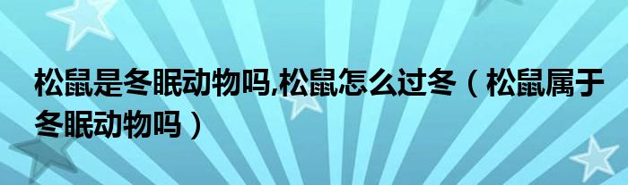 松鼠是冬眠动物吗,松鼠怎么过冬（松鼠属于冬眠动物吗）