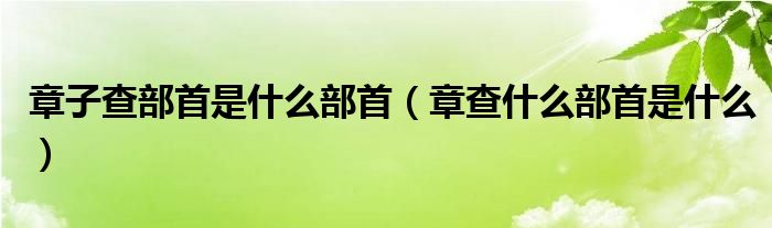 章子查部首是什么部首（章查什么部首是什么）