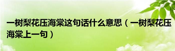 一树梨花压海棠这句话什么意思（一树梨花压海棠上一句）