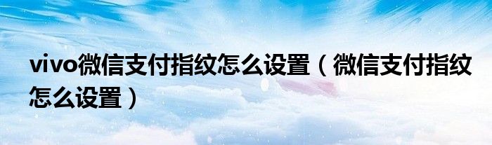 vivo微信支付指纹怎么设置（微信支付指纹怎么设置）