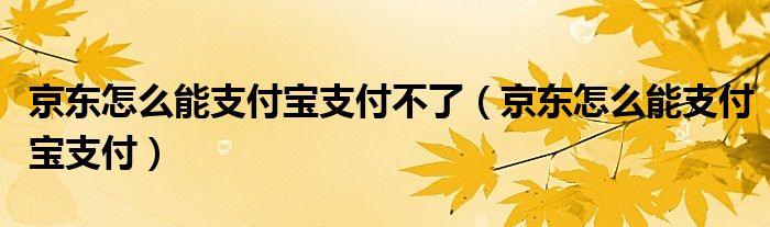 京东怎么能支付宝支付不了（京东怎么能支付宝支付）