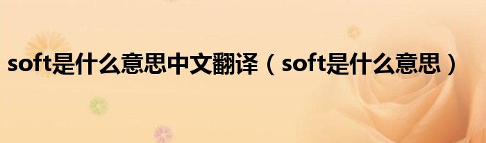 soft是什么意思中文翻译（soft是什么意思）