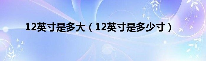 12英寸是多大（12英寸是多少寸）