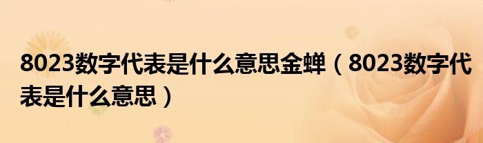 8023数字代表是什么意思金蝉（8023数字代表是什么意思）