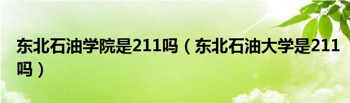 东北石油学院是211吗（东北石油大学是211吗）