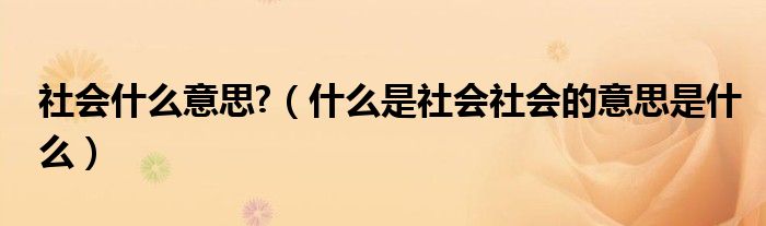 社会什么意思?（什么是社会社会的意思是什么）