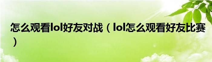 怎么观看lol好友对战（lol怎么观看好友比赛）