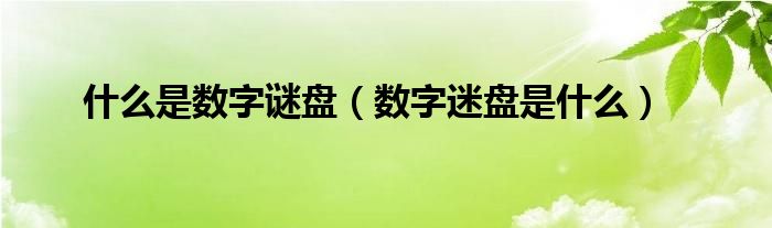 什么是数字谜盘（数字迷盘是什么）