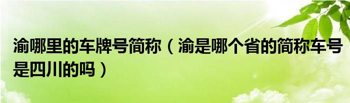 渝哪里的车牌号简称（渝是哪个省的简称车号是四川的吗）