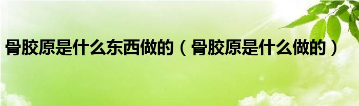 骨胶原是什么东西做的（骨胶原是什么做的）