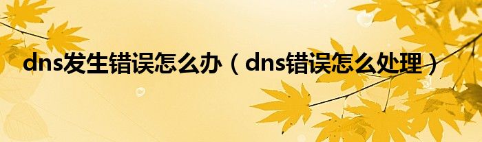 dns发生错误怎么办（dns错误怎么处理）