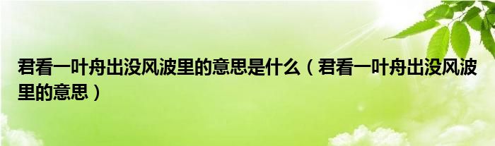 君看一叶舟出没风波里的意思是什么（君看一叶舟出没风波里的意思）