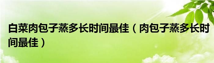 白菜肉包子蒸多长时间最佳（肉包子蒸多长时间最佳）