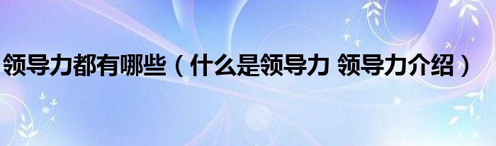 领导力都有哪些（什么是领导力 领导力介绍）