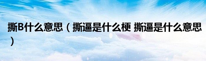 撕B什么意思（撕逼是什么梗 撕逼是什么意思）