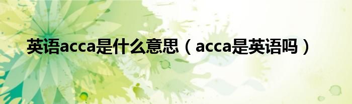 英语acca是什么意思（acca是英语吗）