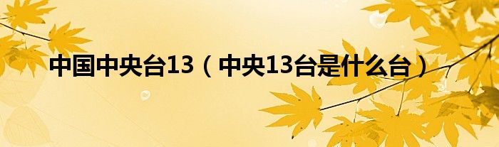 中国中央台13（中央13台是什么台）