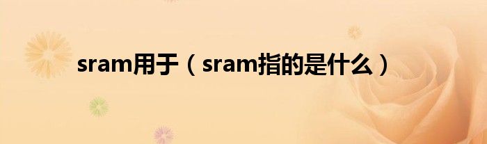 sram用于（sram指的是什么）