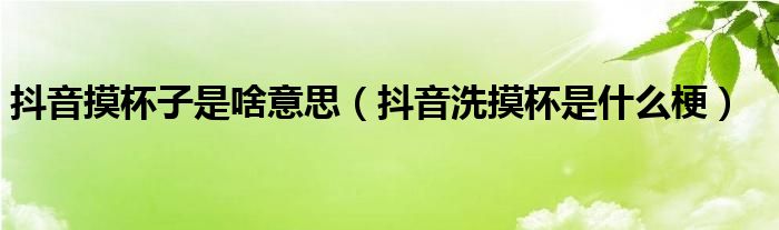 抖音摸杯子是啥意思（抖音洗摸杯是什么梗）