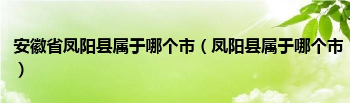 安徽省凤阳县属于哪个市（凤阳县属于哪个市）