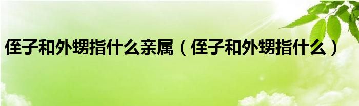 侄子和外甥指什么亲属（侄子和外甥指什么）