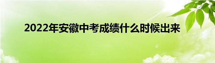 2022年安徽中考成绩什么时候出来