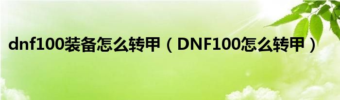 dnf100装备怎么转甲（DNF100怎么转甲）