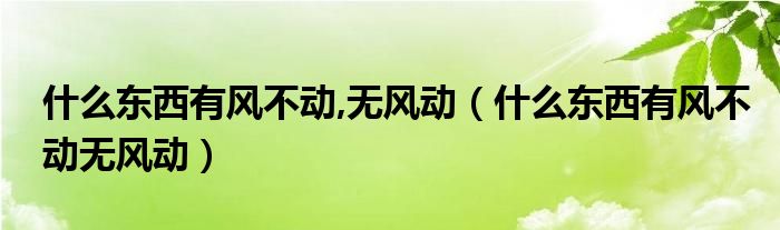 什么东西有风不动,无风动（什么东西有风不动无风动）