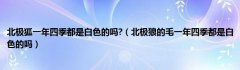 北极狐一年四季都是白色的吗?（北极狼的毛一年四季都是白色的吗）