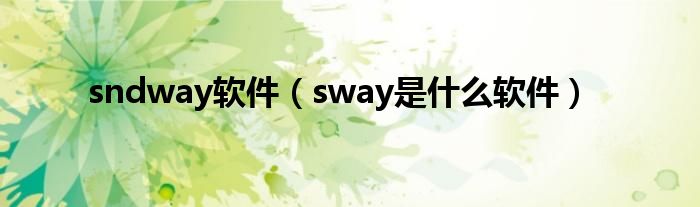 sndway软件（sway是什么软件）