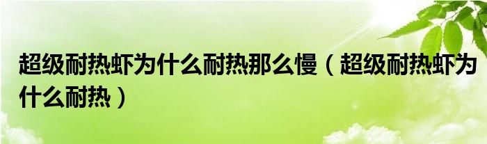 超级耐热虾为什么耐热那么慢（超级耐热虾为什么耐热）