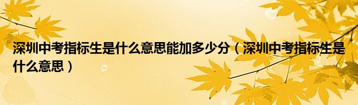 深圳中考指标生是什么意思能加多少分（深圳中考指标生是什么意思）