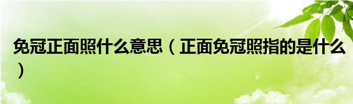 免冠正面照什么意思（正面免冠照指的是什么）