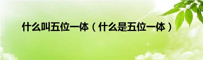 什么叫五位一体（什么是五位一体）