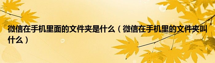 微信在手机里面的文件夹是什么（微信在手机里的文件夹叫什么）