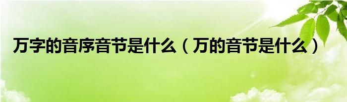 万字的音序音节是什么（万的音节是什么）