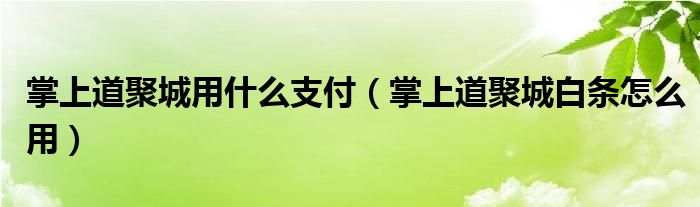 掌上道聚城用什么支付（掌上道聚城白条怎么用）