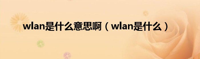 wlan是什么意思啊（wlan是什么）